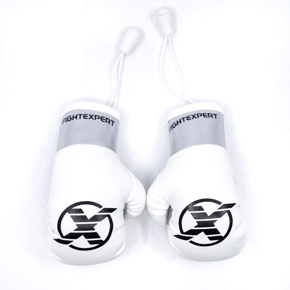 Сувенирные перчатки FIGHTEXPERT
